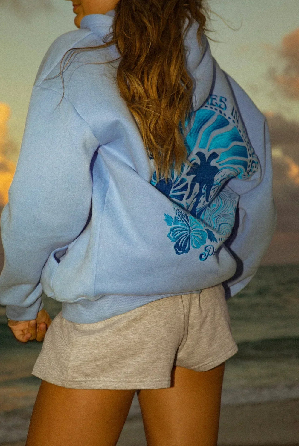 Women's hooded sweatshirt with large illustrated graphic back print and ribbed trims